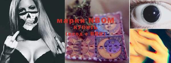 индика Верхний Тагил