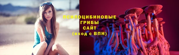 индика Верхний Тагил