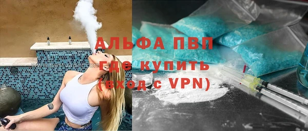 индика Верхний Тагил