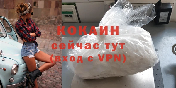 индика Верхний Тагил