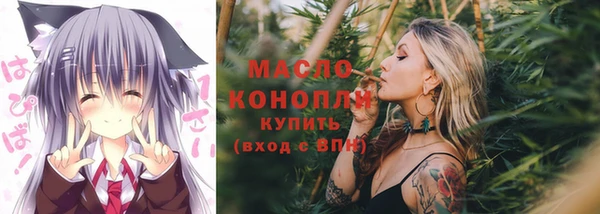 индика Верхний Тагил
